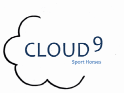 Cloud 9 Sport Horses